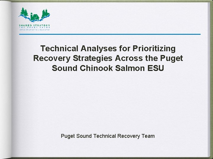 Technical Analyses for Prioritizing Recovery Strategies Across the Puget Sound Chinook Salmon ESU Puget