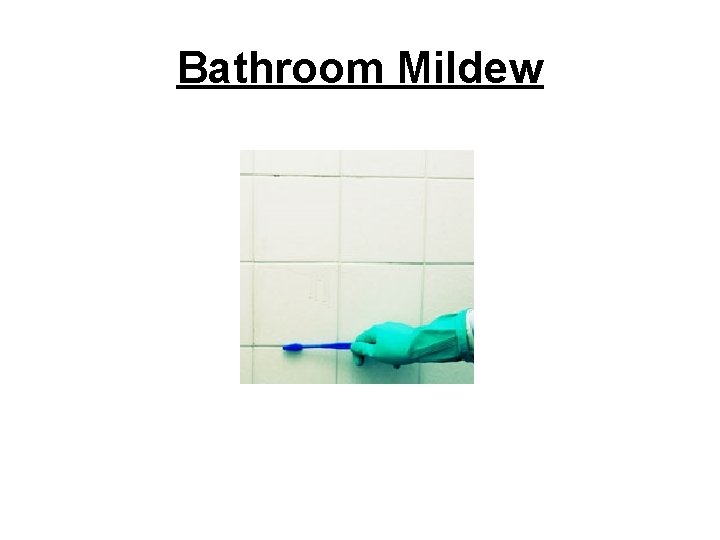 Bathroom Mildew 