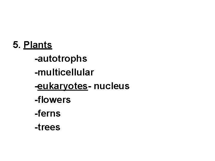 5. Plants -autotrophs -multicellular -eukaryotes- nucleus -flowers -ferns -trees 