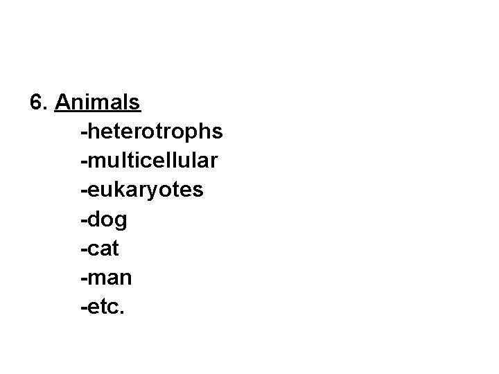 6. Animals -heterotrophs -multicellular -eukaryotes -dog -cat -man -etc. 