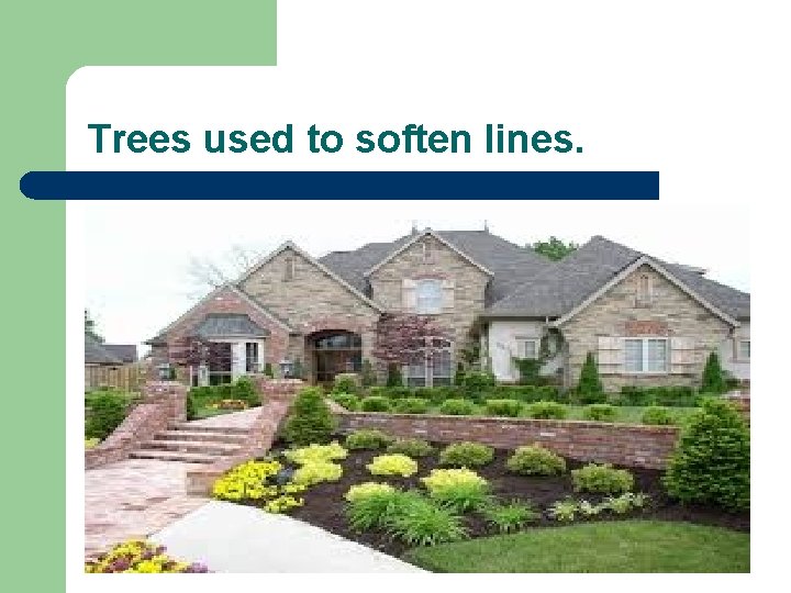 Trees used to soften lines. 