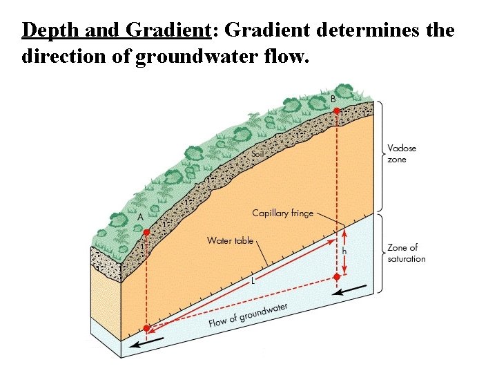 Depth and Gradient: Gradient determines the direction of groundwater flow. 