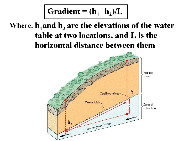 Gradient = (h 1 - h 2)/L Where: h 1 and h 2 are