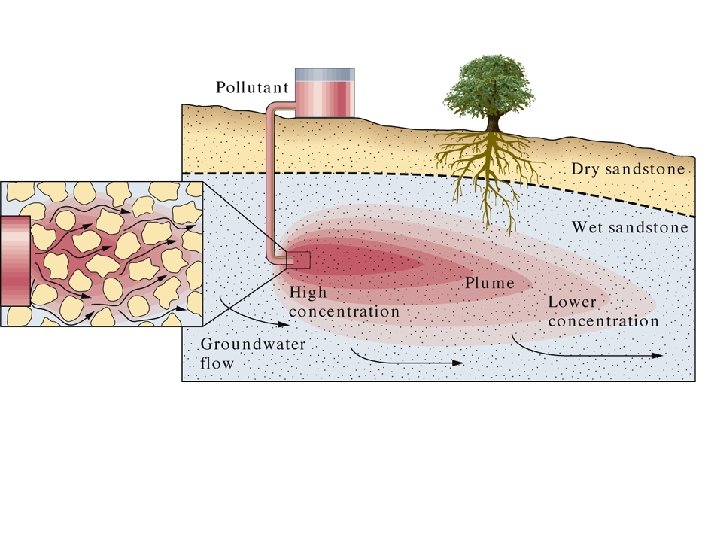 Contaminant Plume 