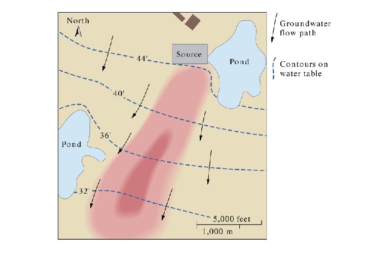 Contaminant Plume in Map View 