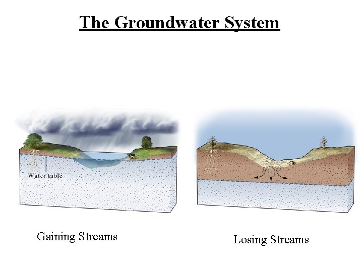 The Groundwater System Gaining Streams Losing Streams 