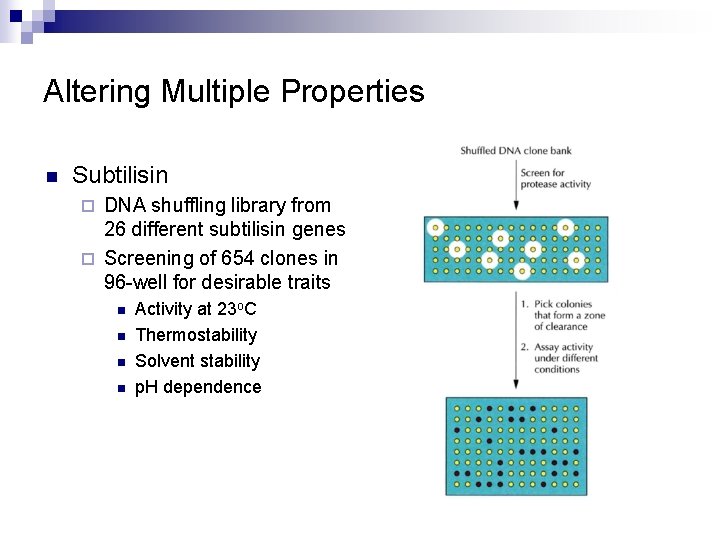 Altering Multiple Properties n Subtilisin DNA shuffling library from 26 different subtilisin genes ¨