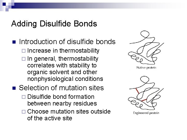 Adding Disulfide Bonds n Introduction of disulfide bonds ¨ Increase in thermostability ¨ In