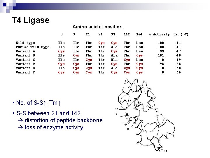 T 4 Ligase Amino acid at position: 3 Wild type Pseudo wild type Variant