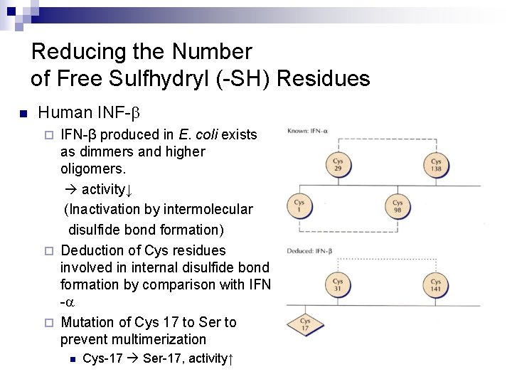 Reducing the Number of Free Sulfhydryl (-SH) Residues n Human INF-b IFN-β produced in