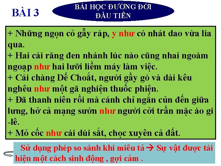 BÀI 3 BÀI HỌC ĐƯỜNG ĐỜI ĐẦU TIÊN + Những ngọn cỏ gẫy ráp,