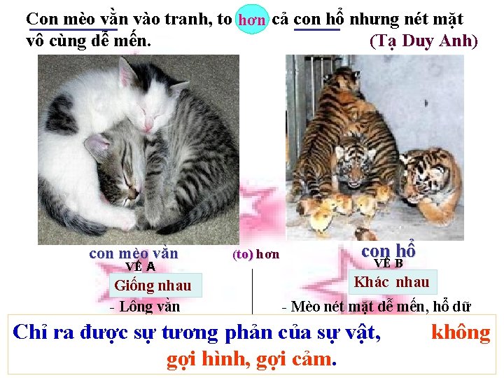 Con mèo vằn vào tranh, to hơn cả con hổ nhưng nét mặt vô