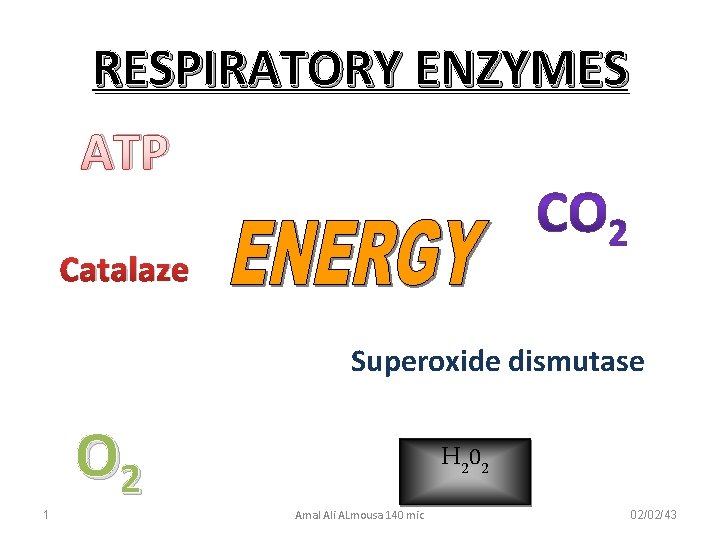 RESPIRATORY ENZYMES ATP Catalaze Superoxide dismutase O 2 1 H 20 2 Amal Ali