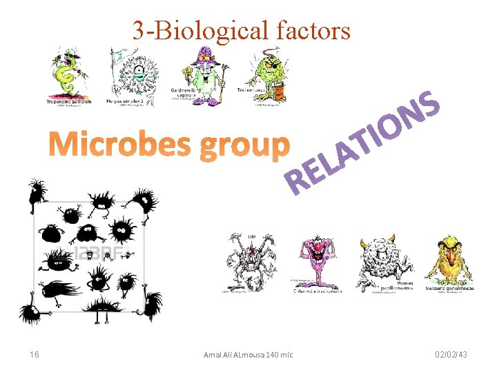 3 -Biological factors Microbes group 16 Amal Ali ALmousa 140 mic S N A