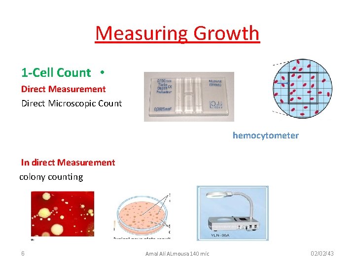 Measuring Growth 1 -Cell Count • Direct Measurement Direct Microscopic Count hemocytometer In direct