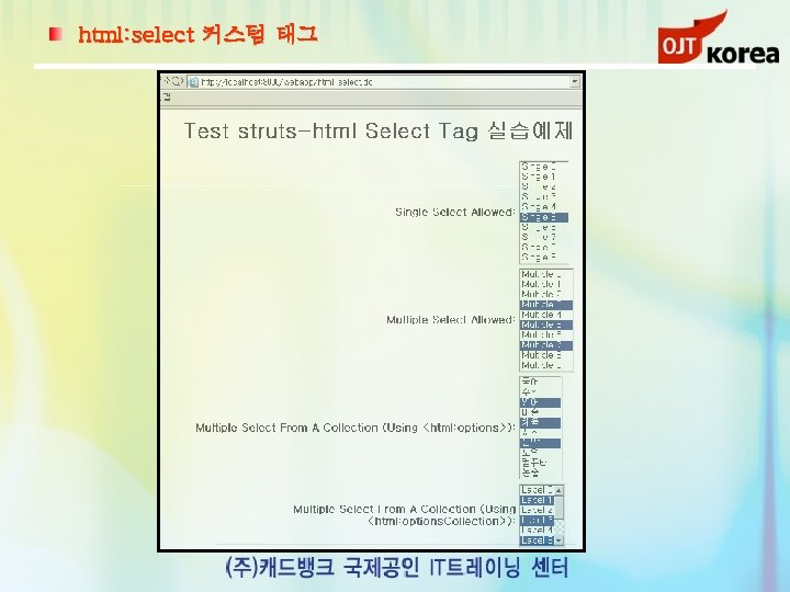 html: select 커스텀 태그 