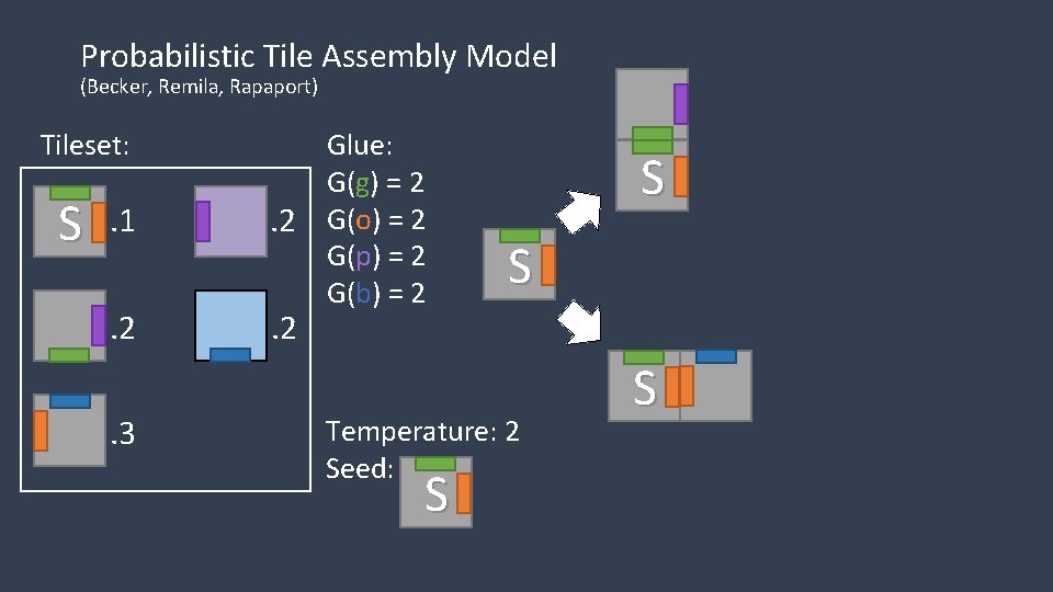 Probabilistic Tile Assembly Model (Becker, Remila, Rapaport) Tileset: S . 1. 2. 3 Glue: