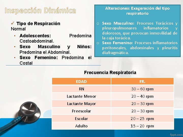 Inspección Dinámica Alteraciones: Exageración del tipo respiratorio ü Tipo de Respiración Normal • Adolescentes:
