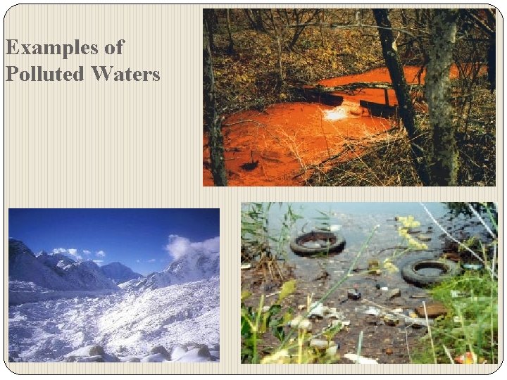 Examples of Polluted Waters 