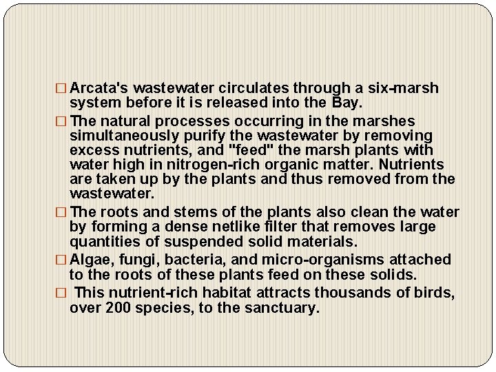 � Arcata's wastewater circulates through a six-marsh system before it is released into the