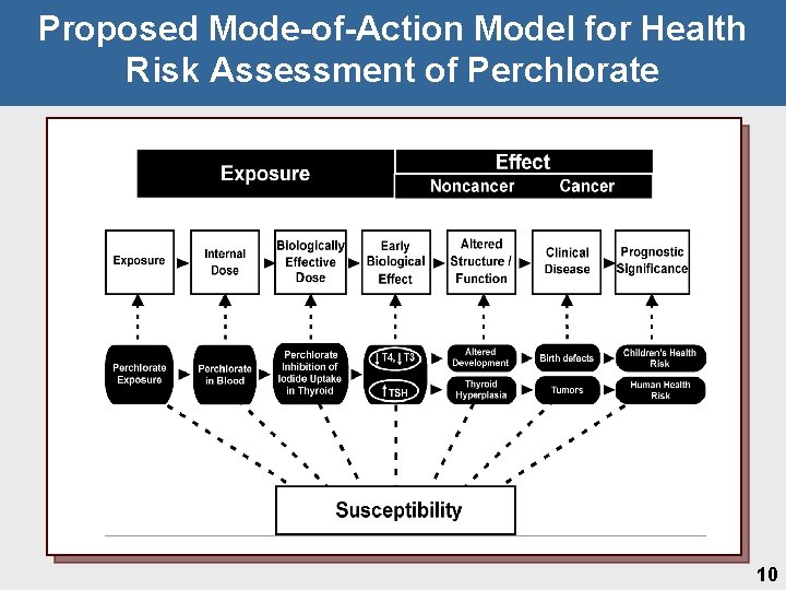 Proposed Mode-of-Action Model for Health Risk Assessment of Perchlorate 10 