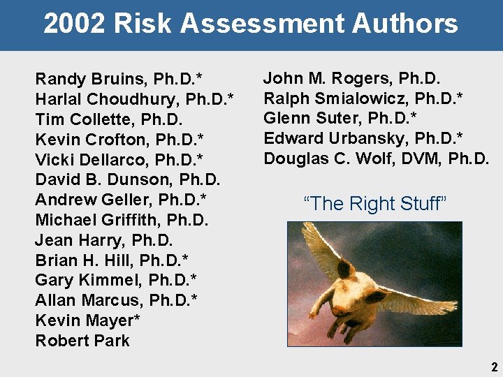 2002 Risk Assessment Authors Randy Bruins, Ph. D. * Harlal Choudhury, Ph. D. *