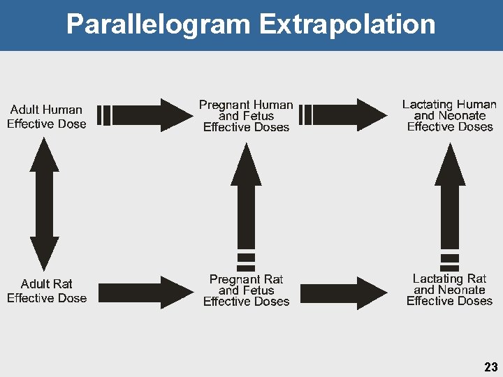 Parallelogram Extrapolation 23 