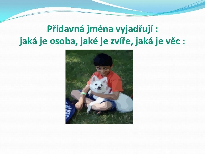 Přídavná jména vyjadřují : jaká je osoba, jaké je zvíře, jaká je věc :