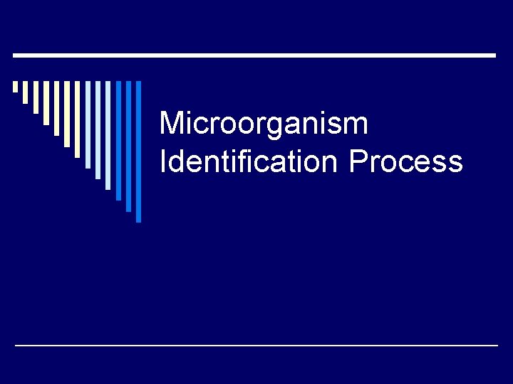 Microorganism Identification Process 