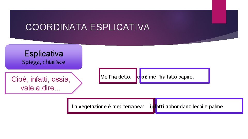 COORDINATA ESPLICATIVA Esplicativa Spiega, chiarisce Cioè, infatti, ossia, vale a dire… Me l’ha detto,