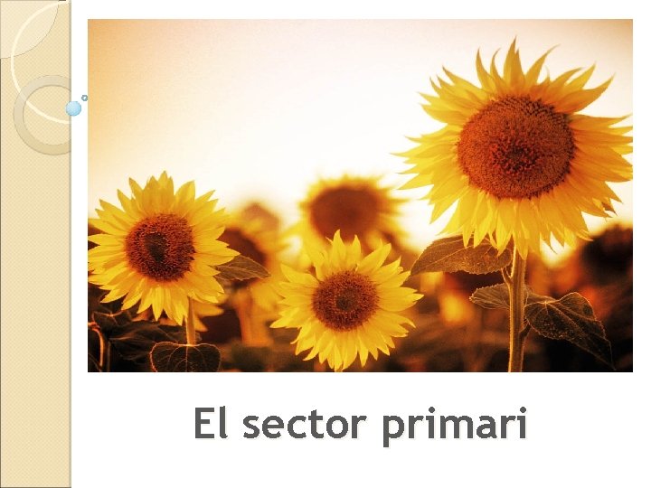 El sector primari 