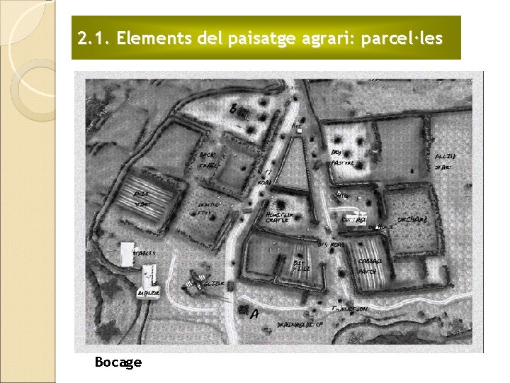 2. 1. Elements del paisatge agrari: parcel·les Bocage 