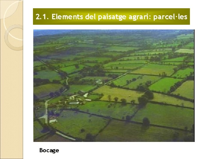 2. 1. Elements del paisatge agrari: parcel·les Bocage 