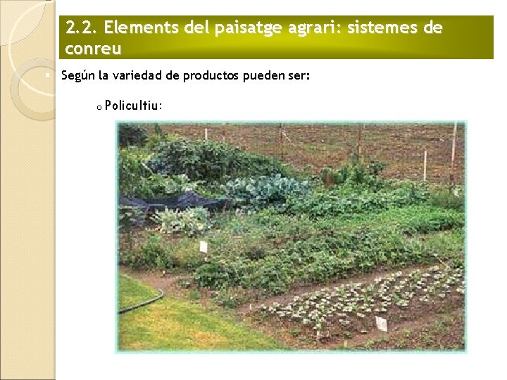 2. 2. Elements del paisatge agrari: sistemes de conreu § Según la variedad de