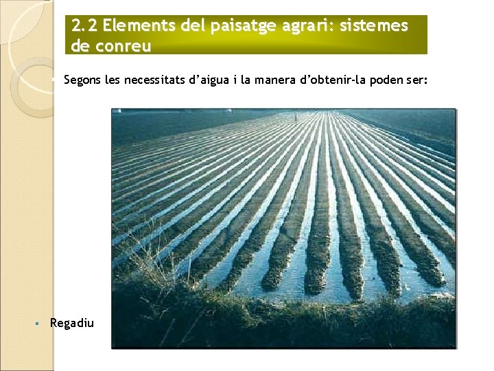 2. 2 Elements del paisatge agrari: sistemes de conreu § Segons les necessitats d’aigua
