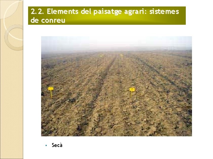 2. 2. Elements del paisatge agrari: sistemes de conreu § Secà 