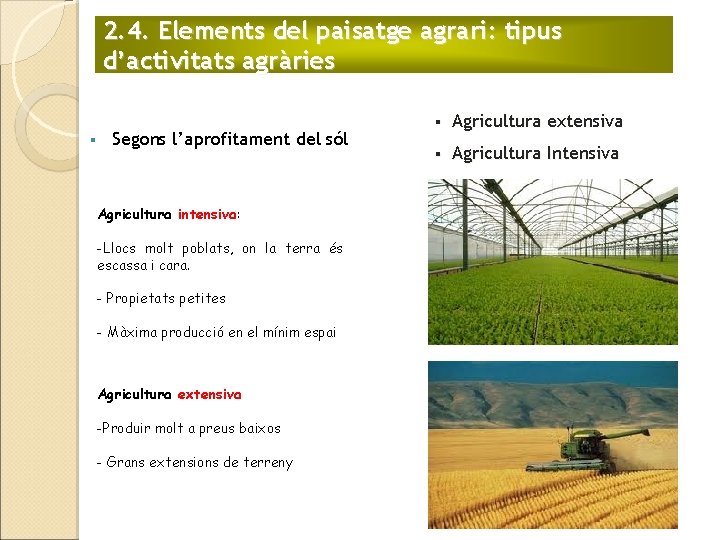 2. 4. Elements del paisatge agrari: tipus d’activitats agràries § Segons l’aprofitament del sól