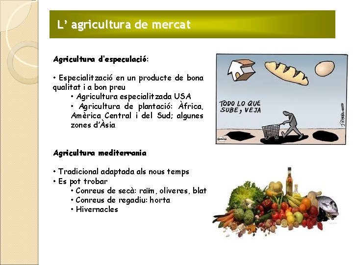 L’ agricultura de mercat Agricultura d’especulació: • Especialització en un producte de bona qualitat