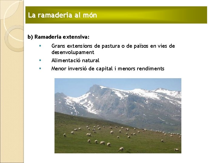 La ramaderia al món b) Ramaderia extensiva: § Grans extensions de pastura o de