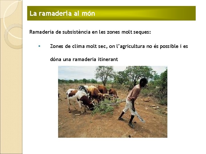 La ramaderia al món Ramaderia de subsistència en les zones molt seques: § Zones