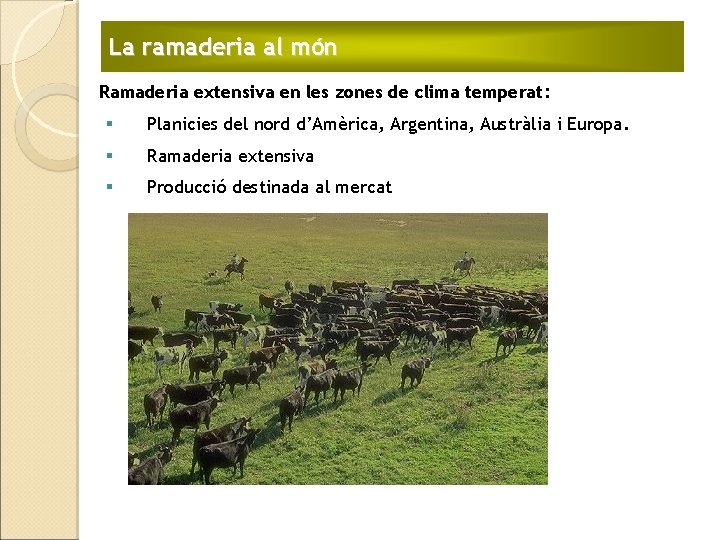 La ramaderia al món Ramaderia extensiva en les zones de clima temperat: § Planicies