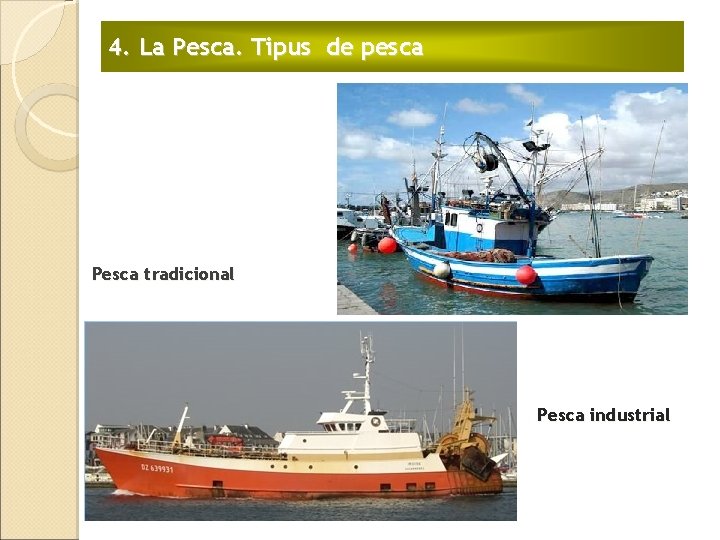 4. La Pesca. Tipus de pesca Pesca tradicional Pesca industrial 