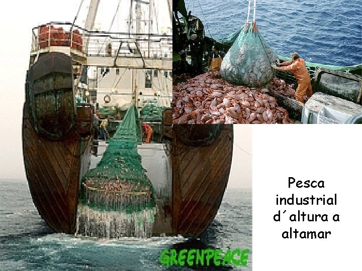 Pesca industrial d´altura a altamar 