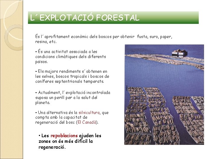L´EXPLOTACIÓ FORESTAL És l´aprofitament econòmic dels boscos per obtenir fusta, suro, paper, resina, etc.
