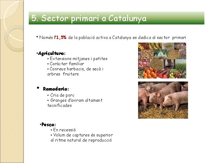 5. Sector primari a Catalunya * Només l’ 1, 5% de la població activa