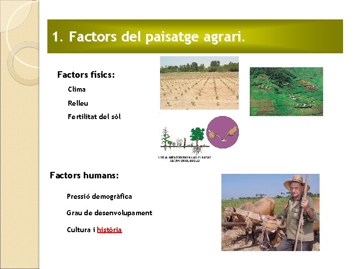 1. Factors del paisatge agrari. § Factors físics: § Clima § Relleu § Fertilitat