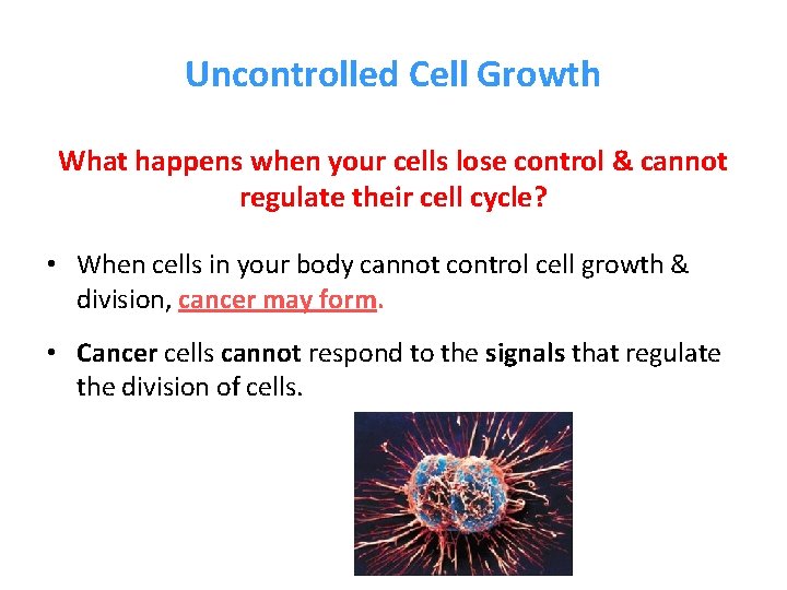 Uncontrolled Cell Growth What happens when your cells lose control & cannot regulate their