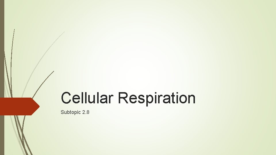 Cellular Respiration Subtopic 2. 8 