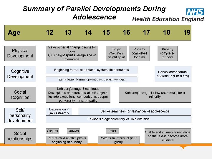 Summary of Parallel Developments During Adolescence 