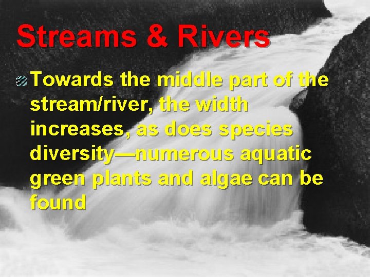 Streams & Rivers Towards the middle part of the stream/river, the width increases, as